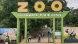 gestion mauvais etat des lieux animaux mal nourris letat annonce la renaissance du zoo dabidjan
